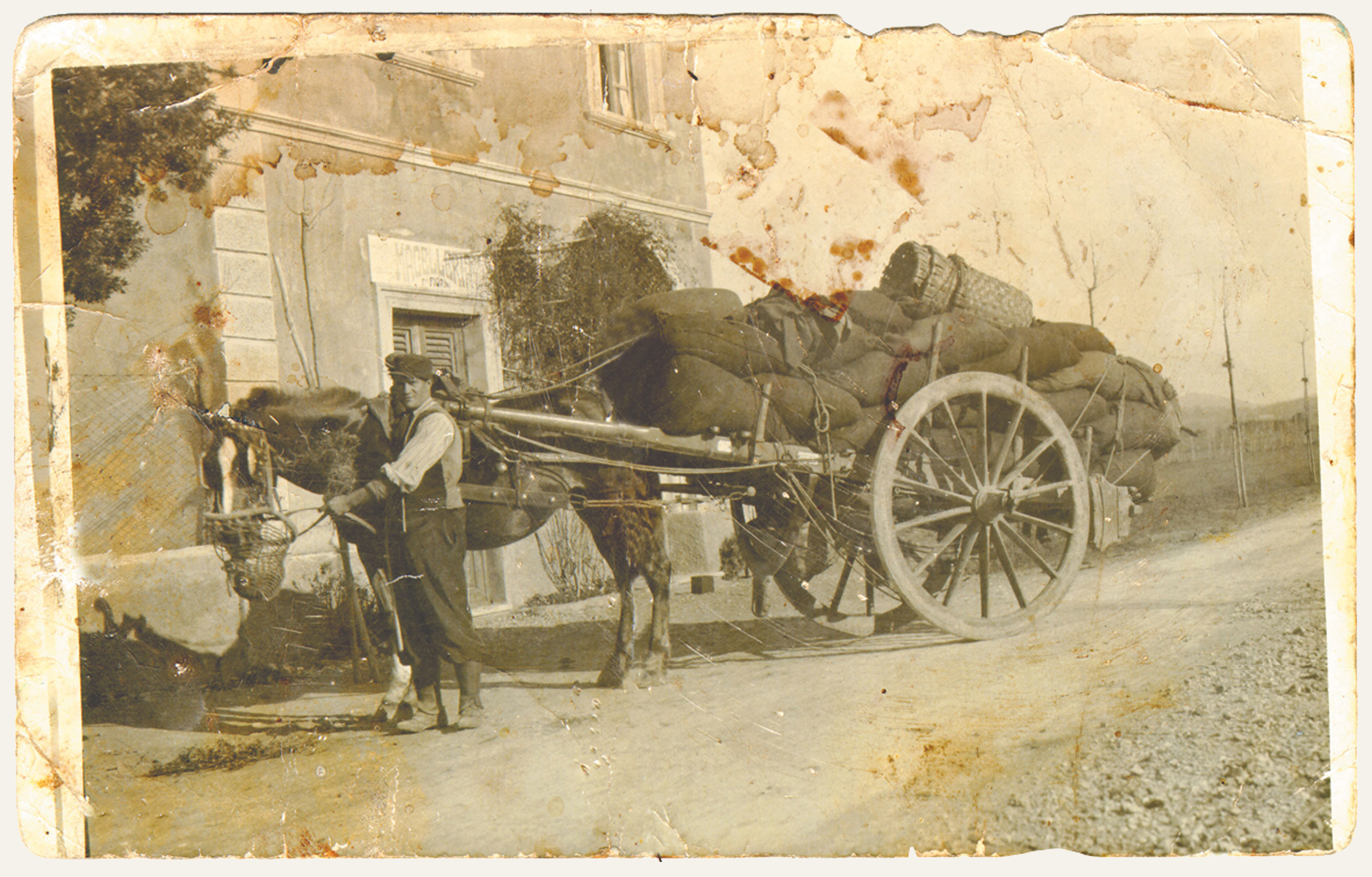 AIA VECCHIA FAMIGLIA