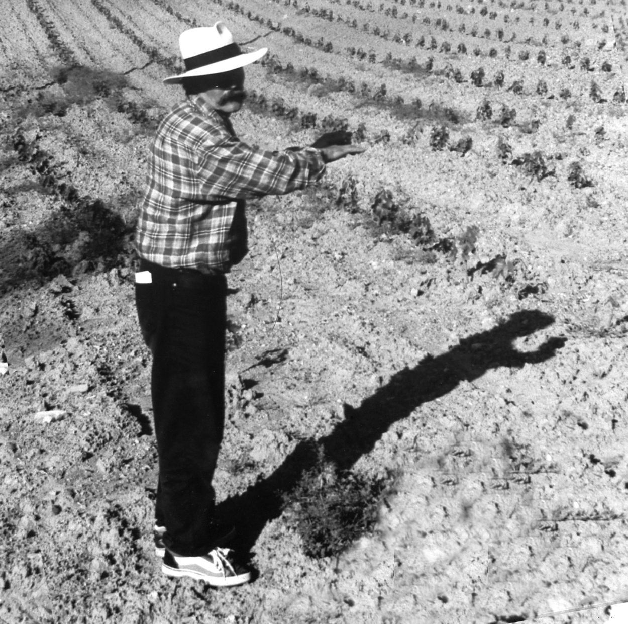 AIA VECCHIA TERRITORIO