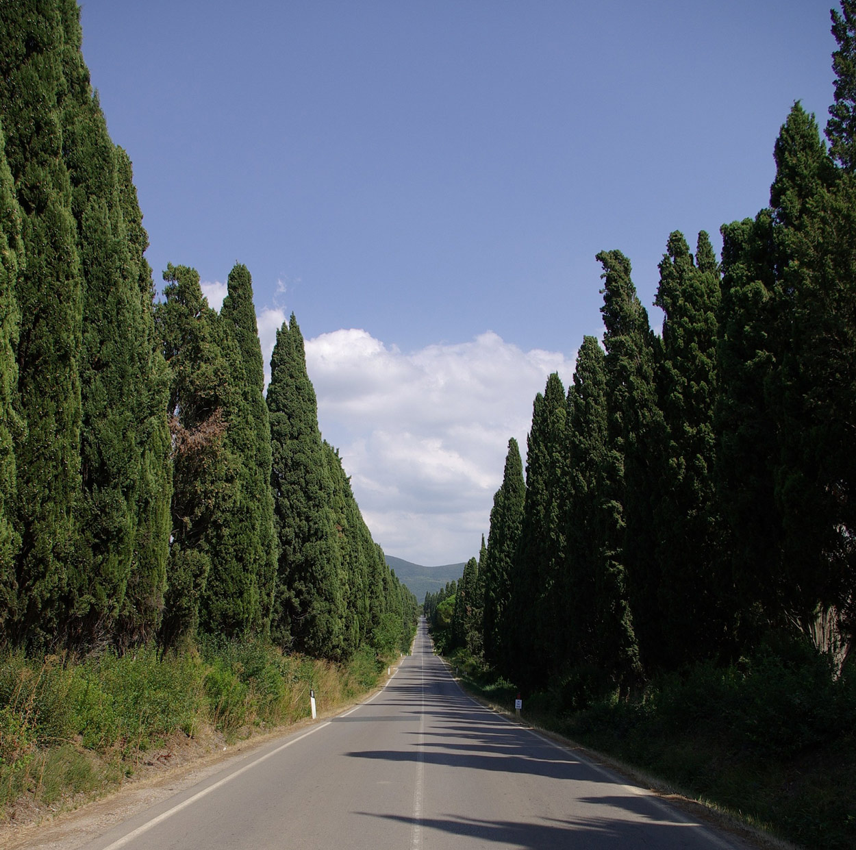 AIA VECCHIA TERRITORIO